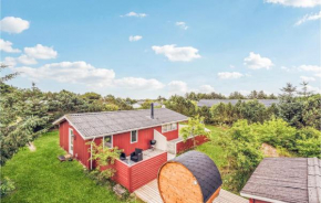4 Bedroom Beautiful Home In Hvide Sande